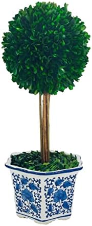 Galt International Preserved Boxwood Topiaries Blue White Pot 11 Ball 19 Tree