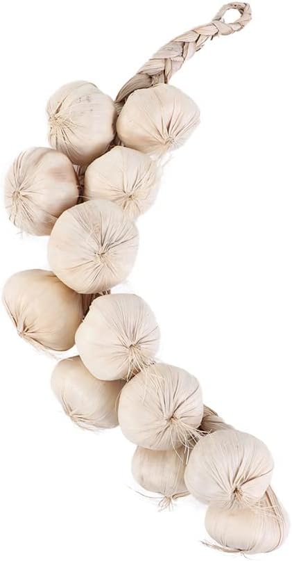 Artificial Garlic String for Home Decor and Photography