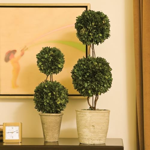 Napa Home Garden Preserved Boxwood Double Sphere Topiary