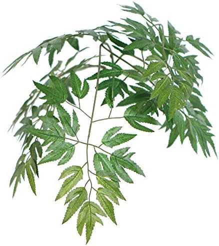 Vickerman 4 Foot Artificial Ming Aralia Bush in Rattan Basket