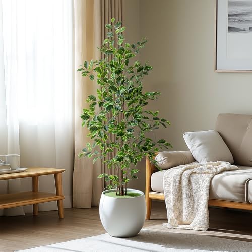 Bailikang Artificial Ficus Tree 5FT Indoor Decor