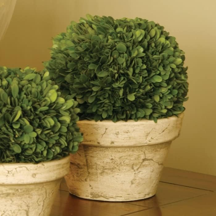 MY SWANKY HOME 10-Inch Ball Topiary Artificial Boxwood