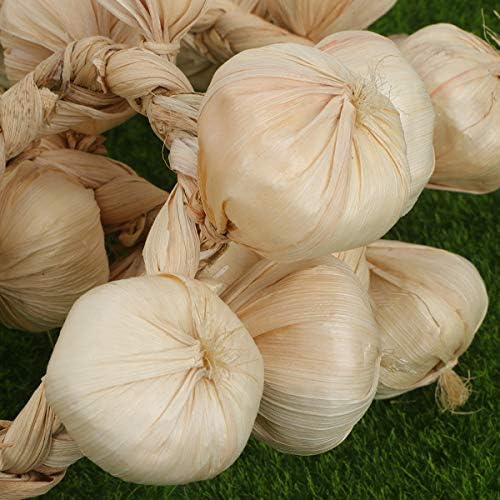BESPORTBLE Garlic Hanging Strings for Home and Halloween Decor