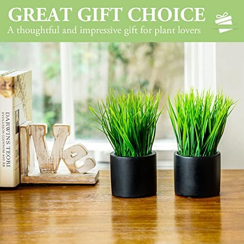 MyGift Artificial Grass Plants in Black Cement Pots Set of 2