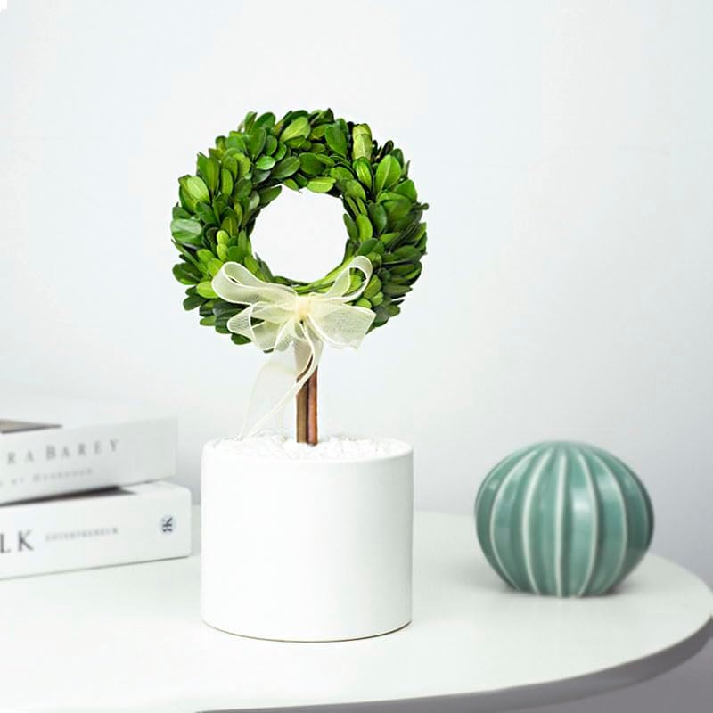 Forever Green Boxwood Wreath Topiary 10 Inch