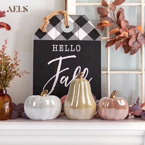 AELS Modern Ceramic Pumpkins Fall Decor Set of 3