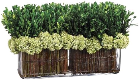 11 Inch High Preserved Boxwood Topiary with Glass Vase - Green