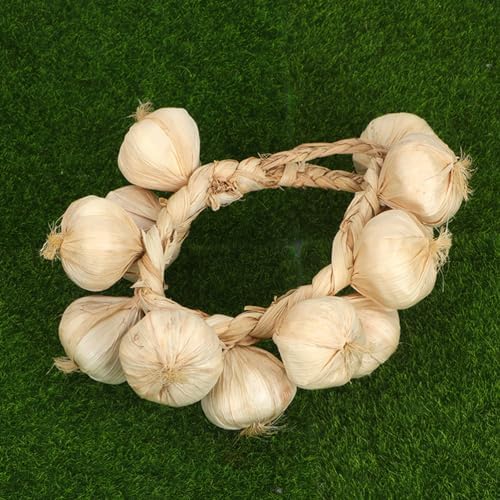 VICASKY 3pcs Artificial Garlic Strings Decor