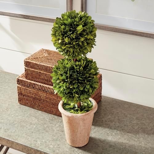 Traditional Garden Preserved Boxwood Double Sphere Topiary 20-Inch