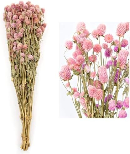 MIHUAGE Dried Flower White Globe Amaranth Decor Bouquets Pink