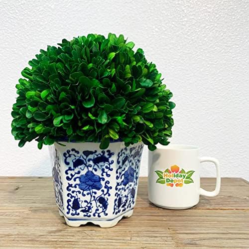 79 Inch Preserved Boxwood Tree in Greek Style Blue White Ceramic Pot