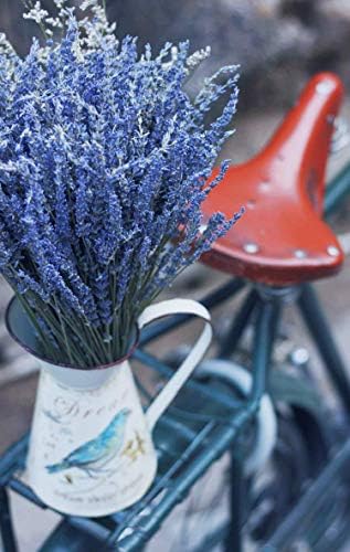 TooGet Natural Lavender Bundles 400 Stems Dried Lavender Bouquet 16-18 Inches