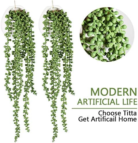 Tiita Artificial Succulents Hanging Plants Set of 2