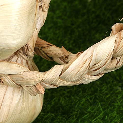 BESPORTBLE Garlic Hanging Strings for Home and Halloween Decor