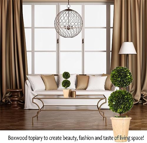 Real Preserved Boxwood Evergreen Potted Tree Topiary 20 Inches