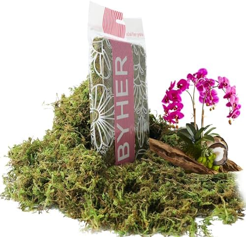 BYHER Artificial Green Moss for Indoor Planters and Crafts