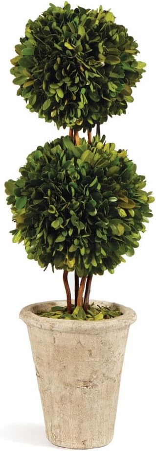 Traditional Garden Preserved Boxwood Double Sphere Topiary 20-Inch