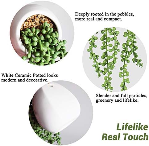 Tiita Artificial Succulents Hanging Plants Set of 2