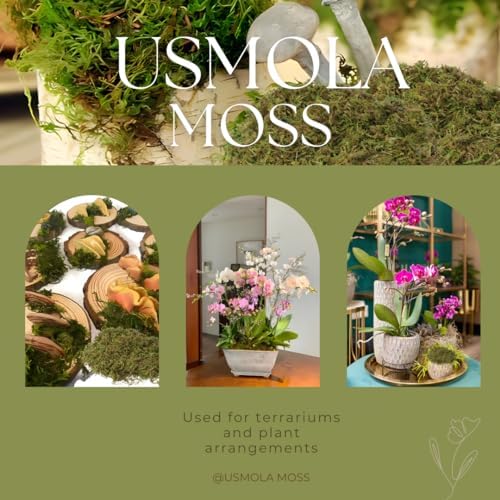 USMOLA Artificial Moss 8 Oz Green Moss for Decor