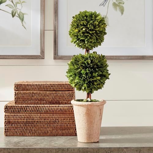 Traditional Garden Preserved Boxwood Double Sphere Topiary 20-Inch