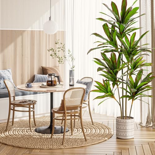 VIAGDO 6ft Artificial Dracaena Plant with Red Leaf Margin