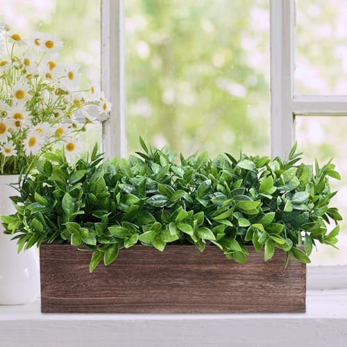 Winlyn 14 Inch Artificial Boxwood Plant Decor