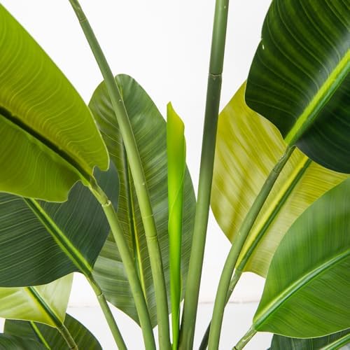 6FT Bird of Paradise Artificial Plants with White Planter