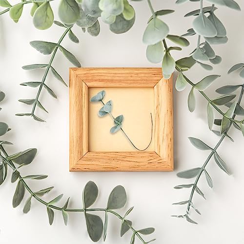 Sukh 24pcs Artificial Eucalyptus Stems for Decor