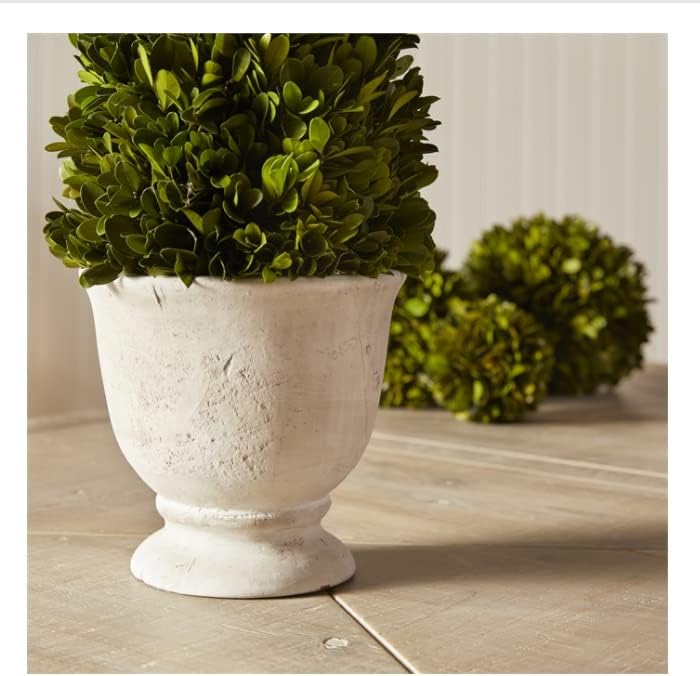 MY SWANKY HOME Elegant 19 in Cone Topiary in Pot