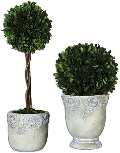Uttermost 60112 Preserved Boxwood Ball Topiaries Set of 2
