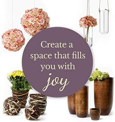 Serene Spaces Living 12 Inch Preserved Boxwood Ball