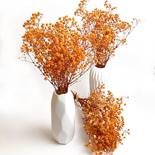 Preserved Babys Breath Flowers 3 Bunches Orange