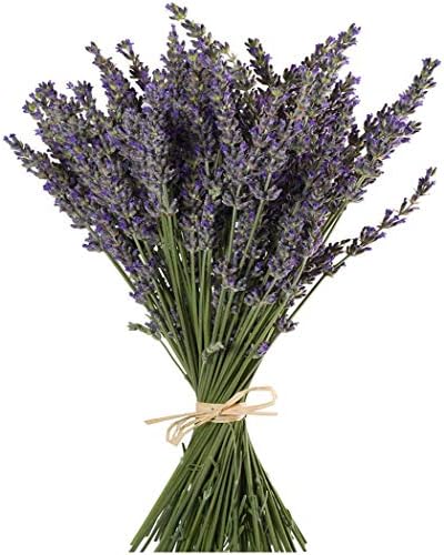 TooGet Natural Lavender Bundles 400 Stems Dried Lavender Bouquet 16-18 Inches
