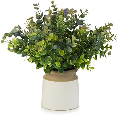 Artificial Eucalyptus Topiary in White Ceramic Pot