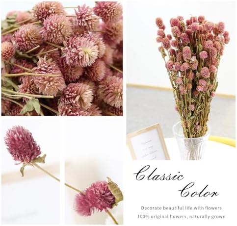 MIHUAGE Dried Flower White Globe Amaranth Decor Bouquets Pink
