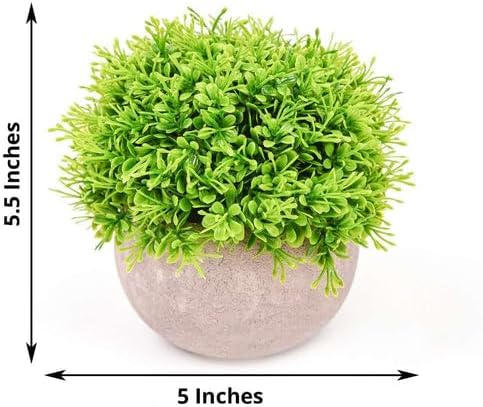 2 Pack Artificial Boxwood Topiaries in Gray Pots 5 Inch