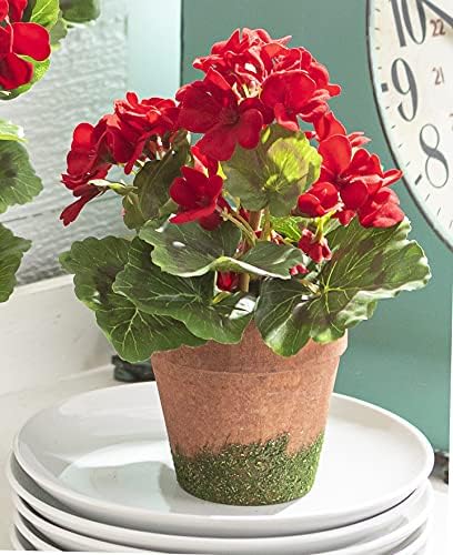 9 Inch Artificial Red Geranium with Moss