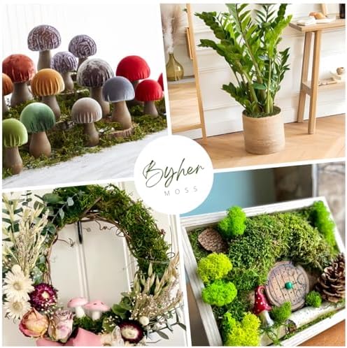 BYHER Artificial Green Moss for Indoor Planters and Crafts
