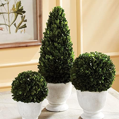 MY SWANKY HOME Elegant 19 in Cone Topiary in Pot