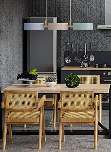 Serene Spaces Living 12 Inch Preserved Boxwood Ball