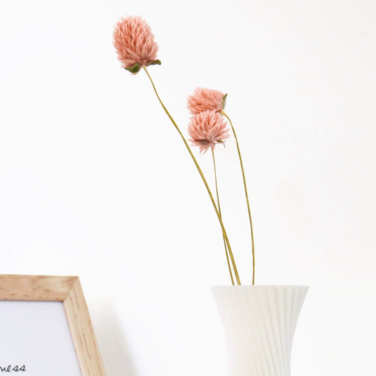 MIHUAGE Dried Flower White Globe Amaranth Decor Bouquets Pink