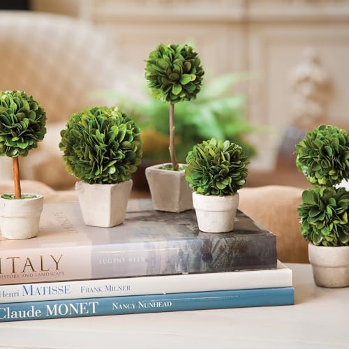 Napa Home Garden Boxwood Mini Topiaries Set of 5 Green