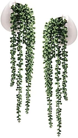 Tiita Artificial Succulents Hanging Plants Set of 2