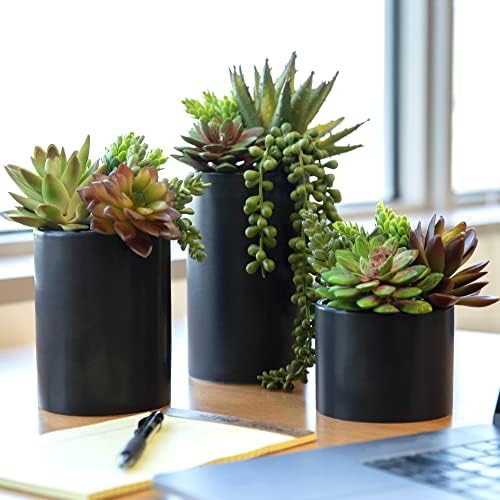 SEEKO Artificial Succulents 3 Pack with Black Pots