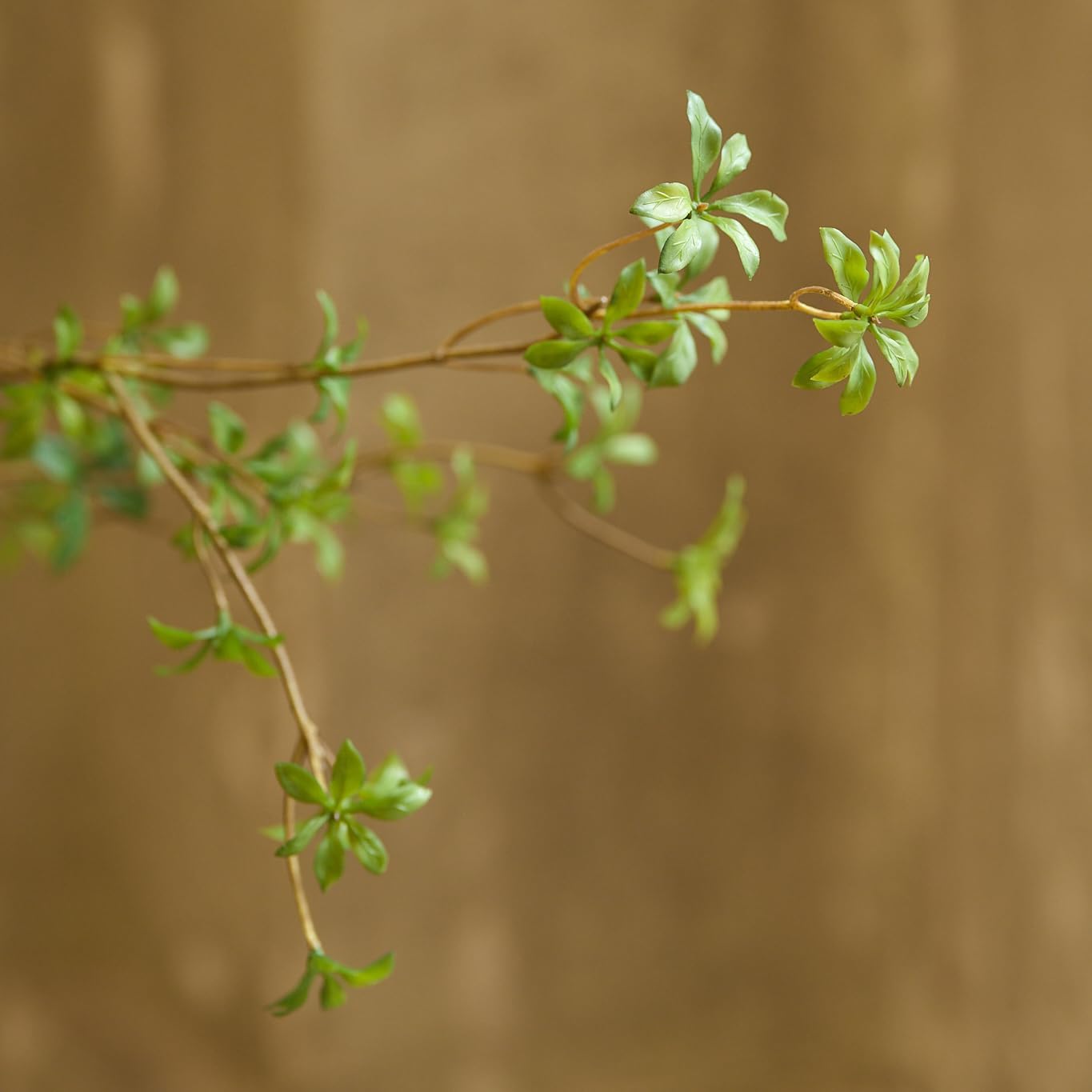 Artificial Greenery Stems 47 Tall Faux Enkianthus Branches 3 Packs Green