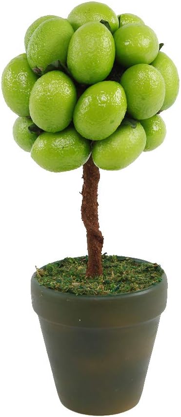 Flora Bunda 11 Inch Tall Faux Lime Topiary in Ceramic Pot