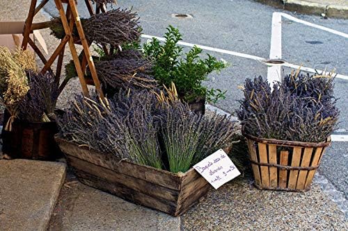 TooGet Natural Lavender Bundles 400 Stems Dried Lavender Bouquet 16-18 Inches