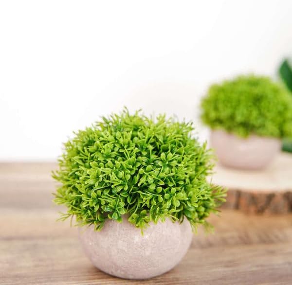 2 Pack Artificial Boxwood Topiaries in Gray Pots 5 Inch