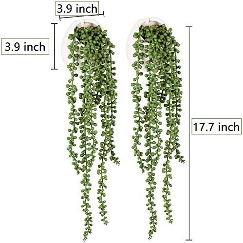 Tiita Artificial Succulents Hanging Plants Set of 2