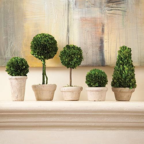 Traditional Garden Boxwood Topiaries Set Of 5 Green